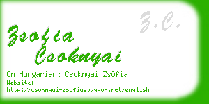 zsofia csoknyai business card